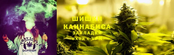 дурь Михайловск