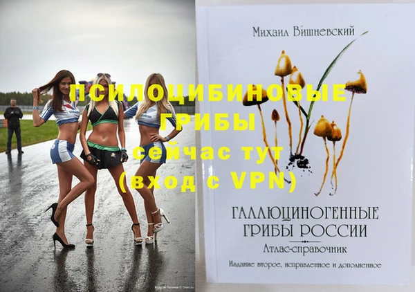 дурь Михайловск