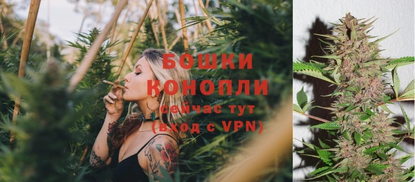 дурь Михайловск